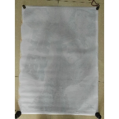 高仿荷晶大学文凭
